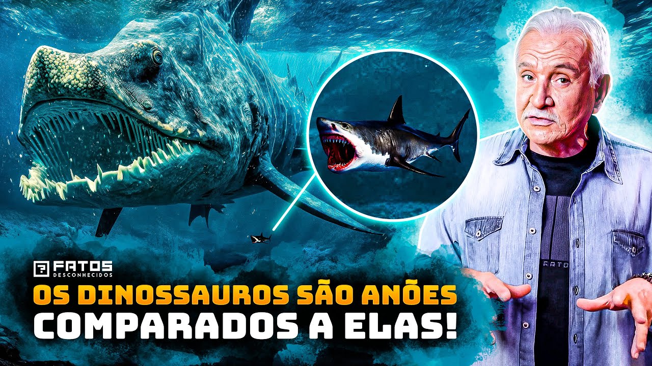 As maiores criaturas que já existiram na Terra! Comparação de tamanho entre elas