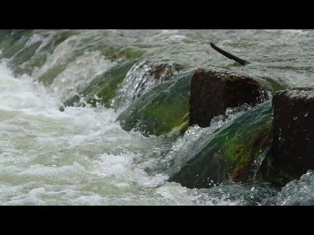 Еловский пруд обмелел