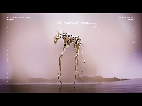 What So Not and Buunshin