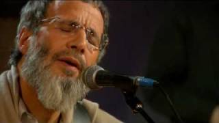 Yusuf - The Beloved (Live Yusuf's Cafe Session 2007) + Lyrics