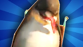 was specially registered forum