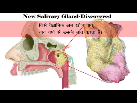 Yoga is better than Science know how? योग और साइंस की कोई तुलना नहीं है। By Yogacharya Anupama