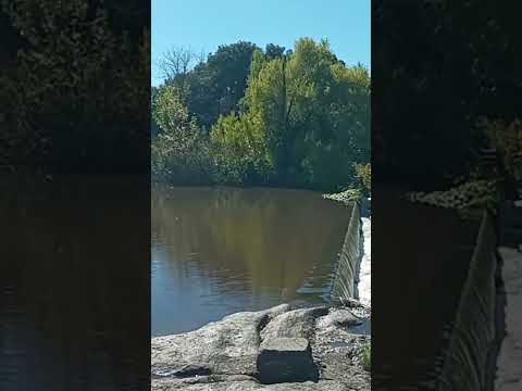Lo que el río se llevó. Rio Rosario. Dep. de Colonia