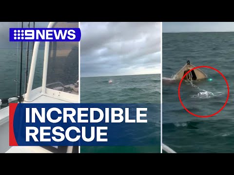 Unexpected rescue mission in shark-infested waters | 9 News Australia
