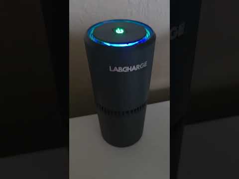 Lab Charge - Absent/Lying Customer Service