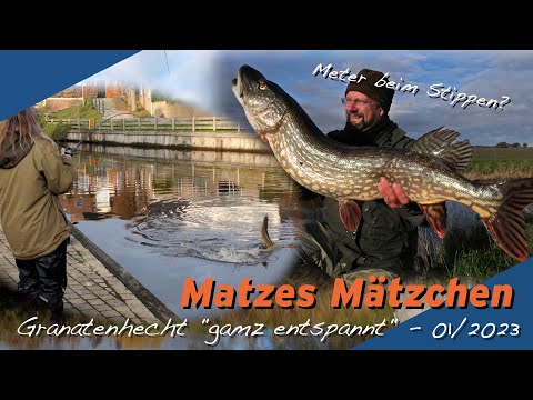 Matze Koch: The meter comes by itself! - Matze's antics 01-2023