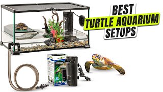 3 BEST Turtle Aquarium Setup
