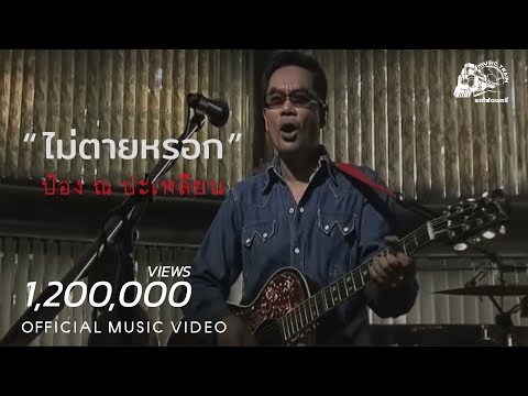 ไม่ตายหรอก - ป ป๋อง ณ ปะเหลียน【 OFFICIAL MV 】