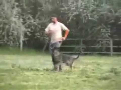 KMSE training moments 04/2013