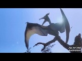 Jurassic Park II 1997 Part 21 21 AllinOneMaster557