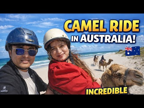 Camel Ride in Australia 🇦🇺 