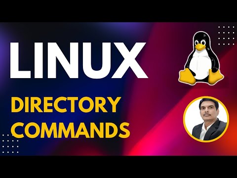 Part 1 Unix Linux for Testers File Commands