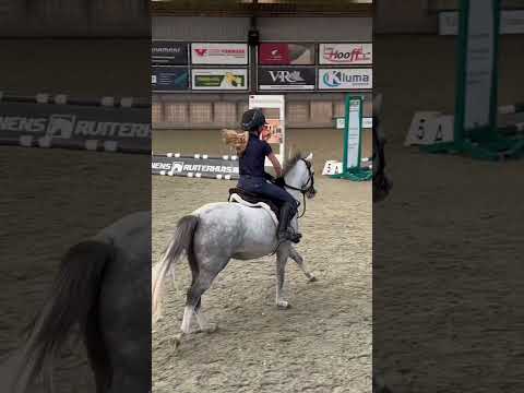 Experiences & more trot