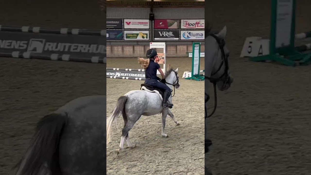 Zazou video 2