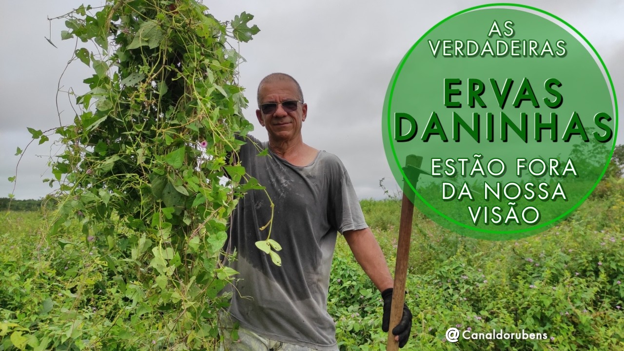As verdadeiras ervas daninhas estão fora da nossa visão