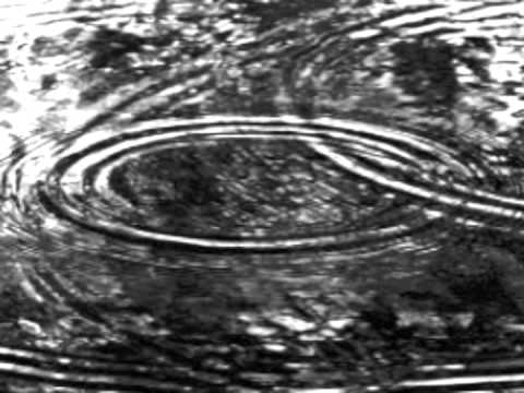 The passing years-Mainhorse Airline(Geneva Tapes)