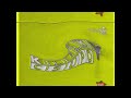 Klasky Csupo In G Major 38 Instructions In Description