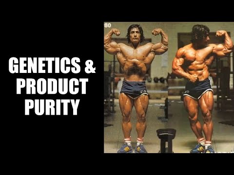 FACTORS THAT AFFECT ONE'S RESPONSE TO A CYCLE! GENETICS, SYNTHOL INJECTIONS & PRODUCT PURITY!
