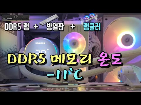 3RSYS 빙하 D50 ARGB 램 쿨러 리뷰 당신의 DDR5 메모리 온도를 11도 내려드립니다.
