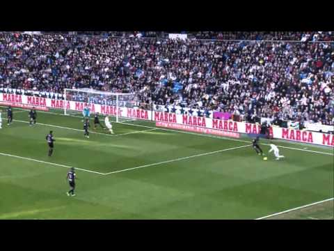 Planeta Granada -- Roberto, el gato de Chantada || GCFTV