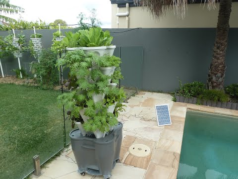 Easiest Home Hydroponic Vertical Garden Kit Runs on Solar Power