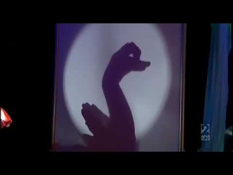 Best shadow puppets-Hans Davis