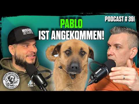 PABLO'S SECOND CHANCE