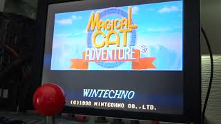 Wintechno Magical Cat Adventure (1993): Arcade Gameplay (Actual Hardware)