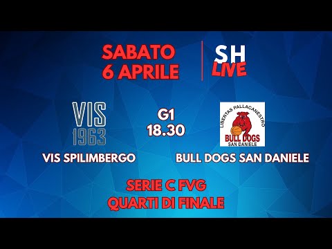 Basket: Vis Spilimbergo - Bull Dogs San Daniele