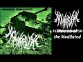 Admirality Improvisual Turbosensitive 2012 Brutal Death Metal