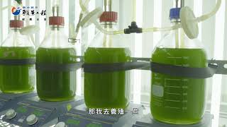 Re: [新聞] 盧秀燕IG喝可樂 議員批不健康示範 網友：