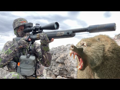 Challenging Multi Day Baboon Varminting Hunt