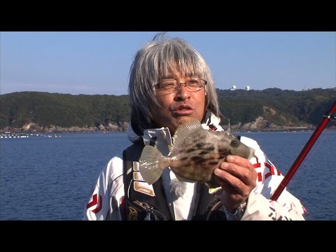 カワハギ良型ゲット！串本大島で磯投げ釣りアタリ連発！/四季の釣り/2015年1月23日OA