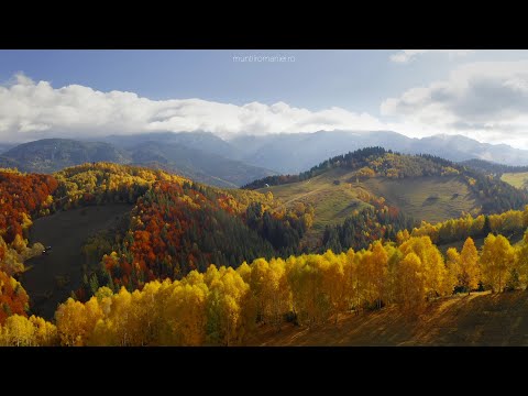 #SateleMunților: Toamna pe culoarul Rucăr-Bran (Filmare aeriană 4K)