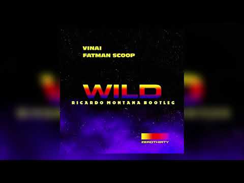 VINAI & Fatman Scoop - WILD (Ricardo Montana Bootleg)
