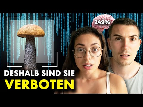 MAGIC MUSHROOMS - UNSER ERSTES MAL– Tripbericht