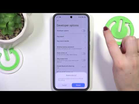 How to Enable Developer Options on XIAOMI 15 Pro – Unlock Advanced Settings