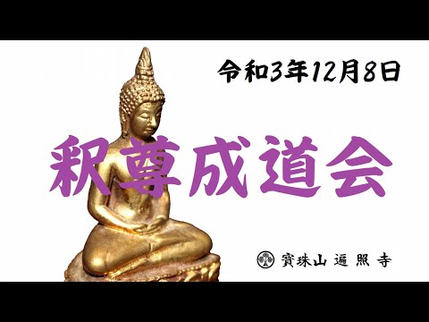 仏教学科 日蓮宗遍照寺【釈尊成道会】令和3年12月8日 ダイジェスト版
