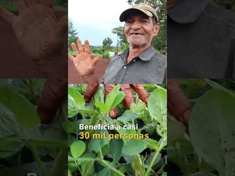 Yabebyry impulsa el progreso rural 👷‍♂️🚧