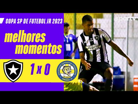 Gols e lances de Botafogo x Tiradentes