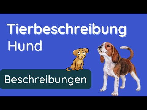 So beschreibst du einen Hund  ✅ Anleitung und Beispiel