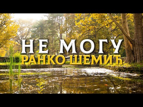 Ranko Šemić - Ne mogu (Official video) 2022