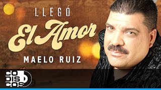 Llego El Amor Lyrics English Translation