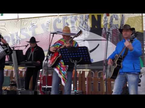 ans. JELEN - Še BUTALSKA