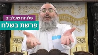 הרב דניאל אלול - פרשת בשלח - התשפ"ה (ישיבת שעלבים) - התמונה מוצגת ישירות מתוך אתר האינטרנט יוטיוב. זכויות היוצרים בתמונה שייכות ליוצרה. קישור קרדיט למקור התוכן נמצא בתוך דף הסרטון הרב דניאל אלול - פרשת בשלח - התשפ"ה (ישיבת שעלבים) - התמונה מוצגת ישירות מתוך אתר האינטרנט יוטיוב. זכויות היוצרים בתמונה שייכות ליוצרה. קישור קרדיט למקור התוכן נמצא בתוך דף הסרטון