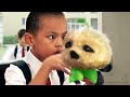 Bullies Try To Broke CJ7