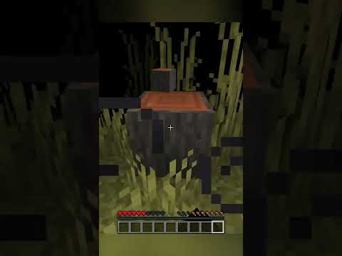 Rohit Pal - Minecraft But Every Minute You Get A Random Potion Effects