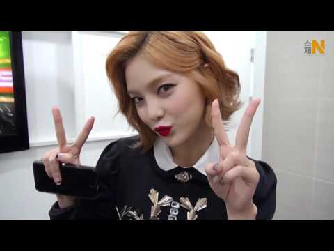 [스제-N.119 ] Accio NINEMUSES A