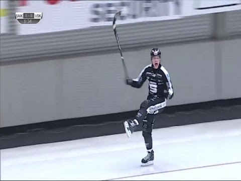 Sandvikens AIK bandy highlights 2015-2016