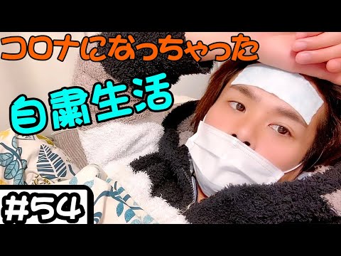 夏、コロナウイルスの自然治癒法?専門家はそう言ってる